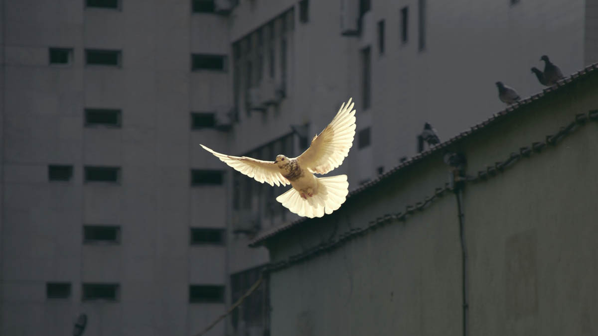 Universitat Politècnica de València tweet media