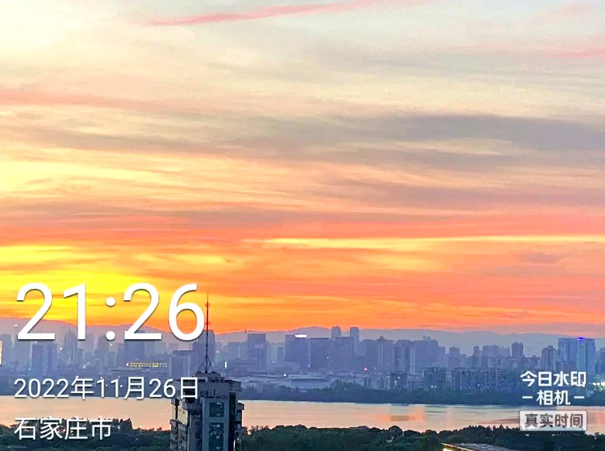 Zoeann bell tweet media