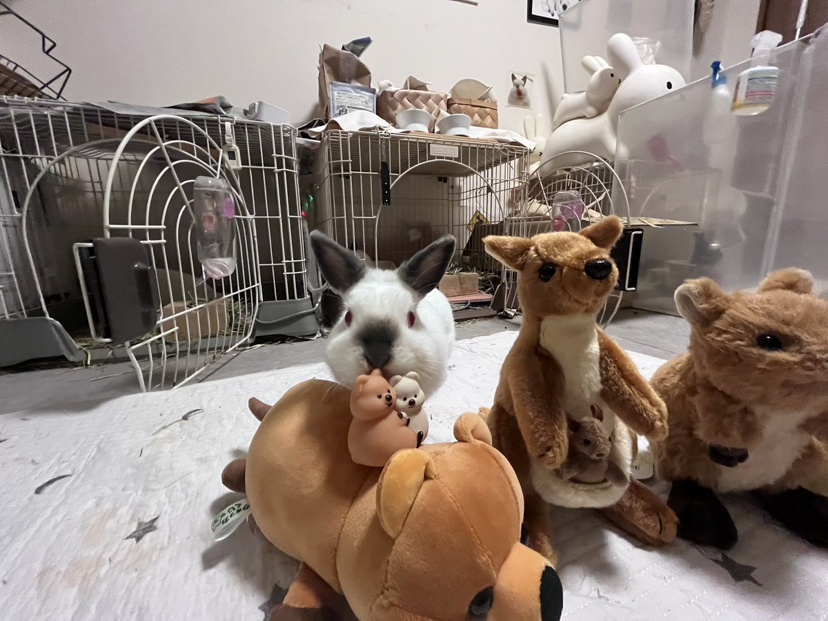 ๐ ้ฆใกใใ ๐ tweet media