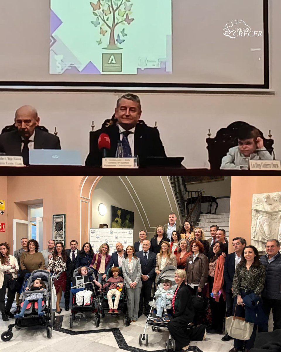 Neurocrecer's tweet photo. El pasado 18 de marzo, el Ateneo de Sevilla acogió la jornada “Enfermedades Raras: visibilizar para avanzar en la edad pediátrica”, en la que participamos junto a profesionales sanitarios, investigadores, asociaciones y familias https://t.co/EE09xs5eCy