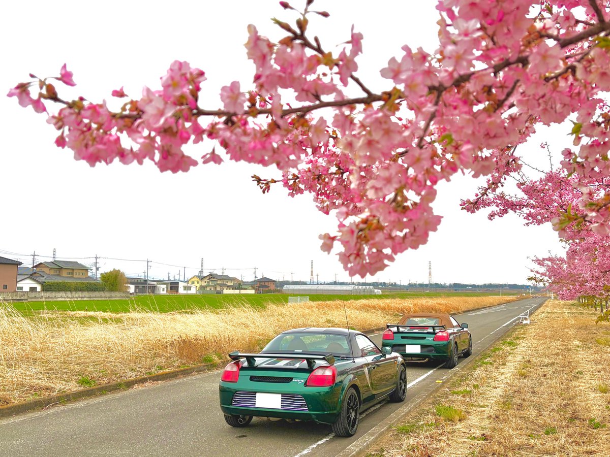 の。🍩 tweet media