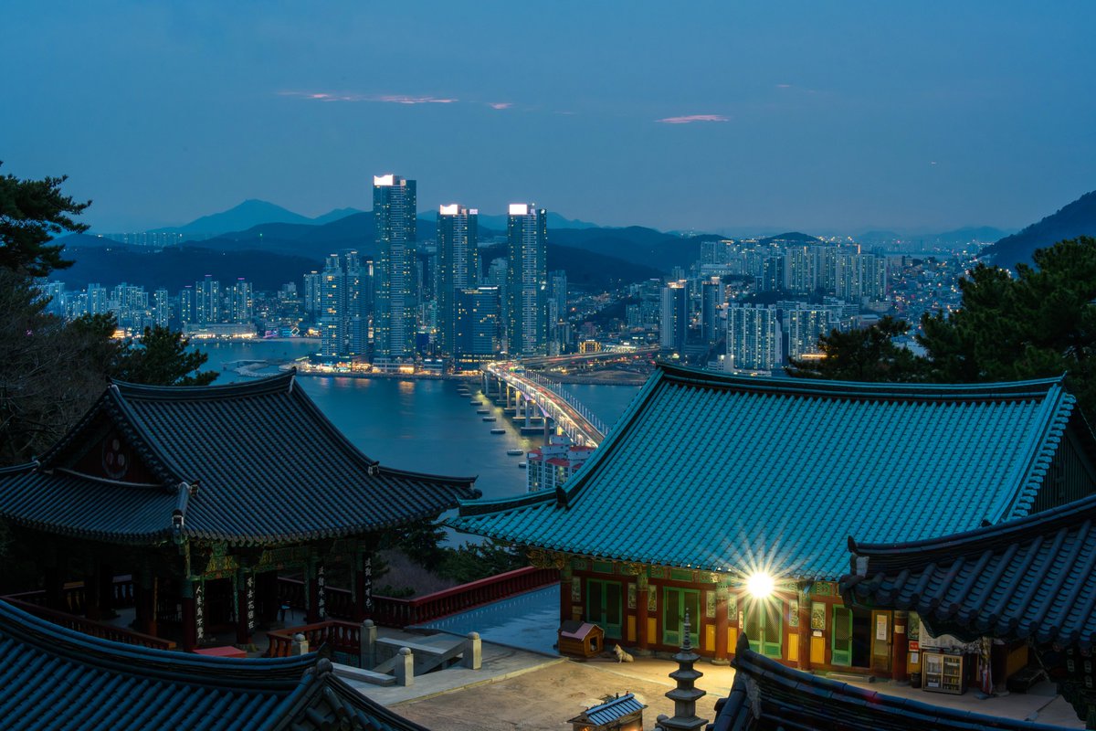 Chrys🌕 tweet media