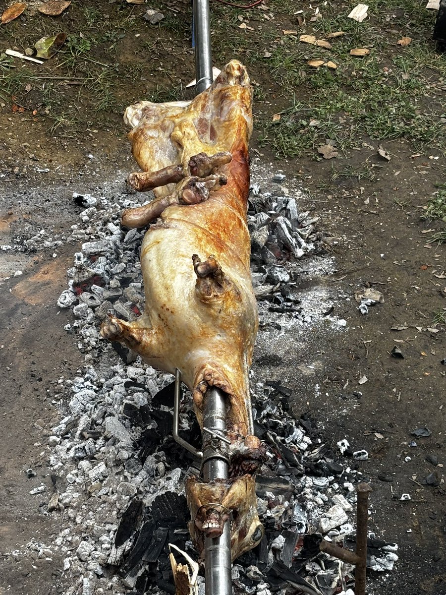 AKUSTIČAR tweet media