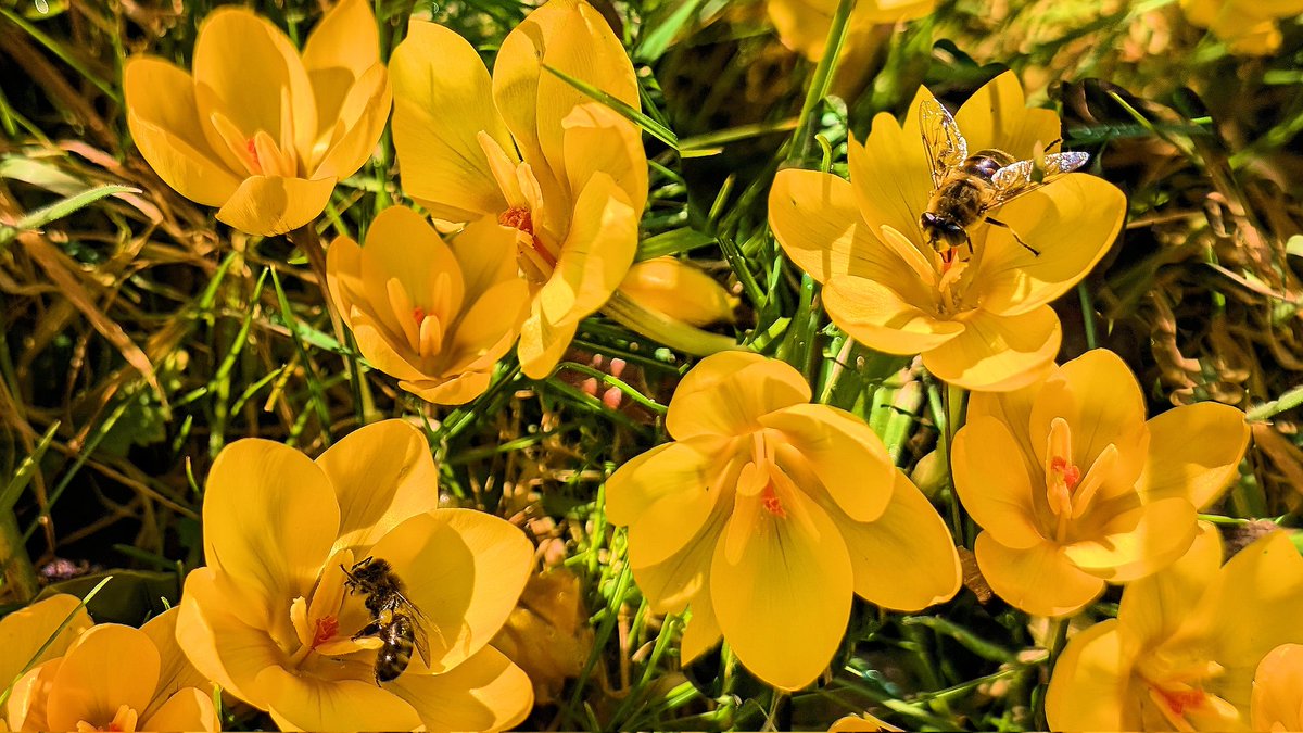 Ed v. Pelt tweet media