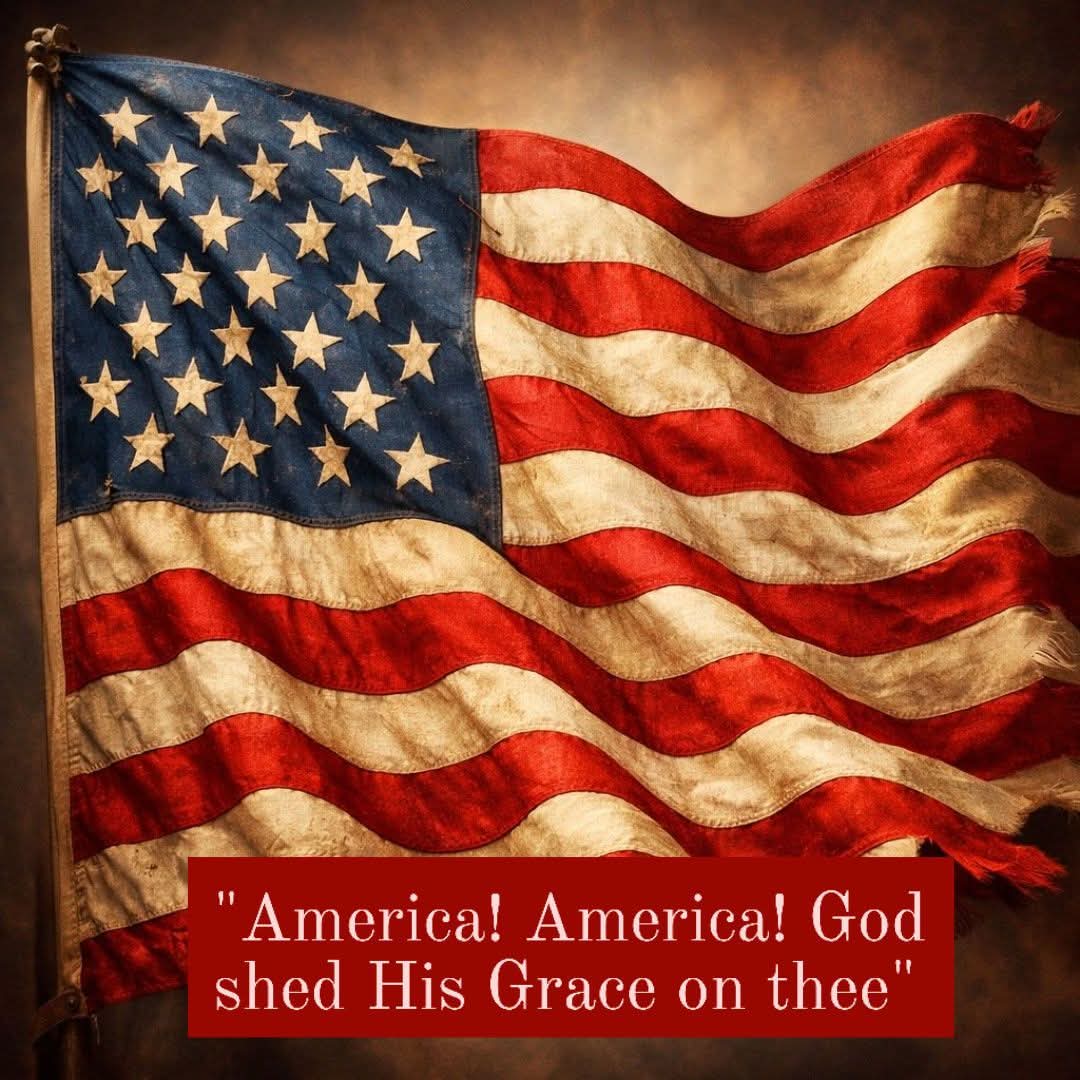 Tracy Killinger ๐บ๐ธ tweet media