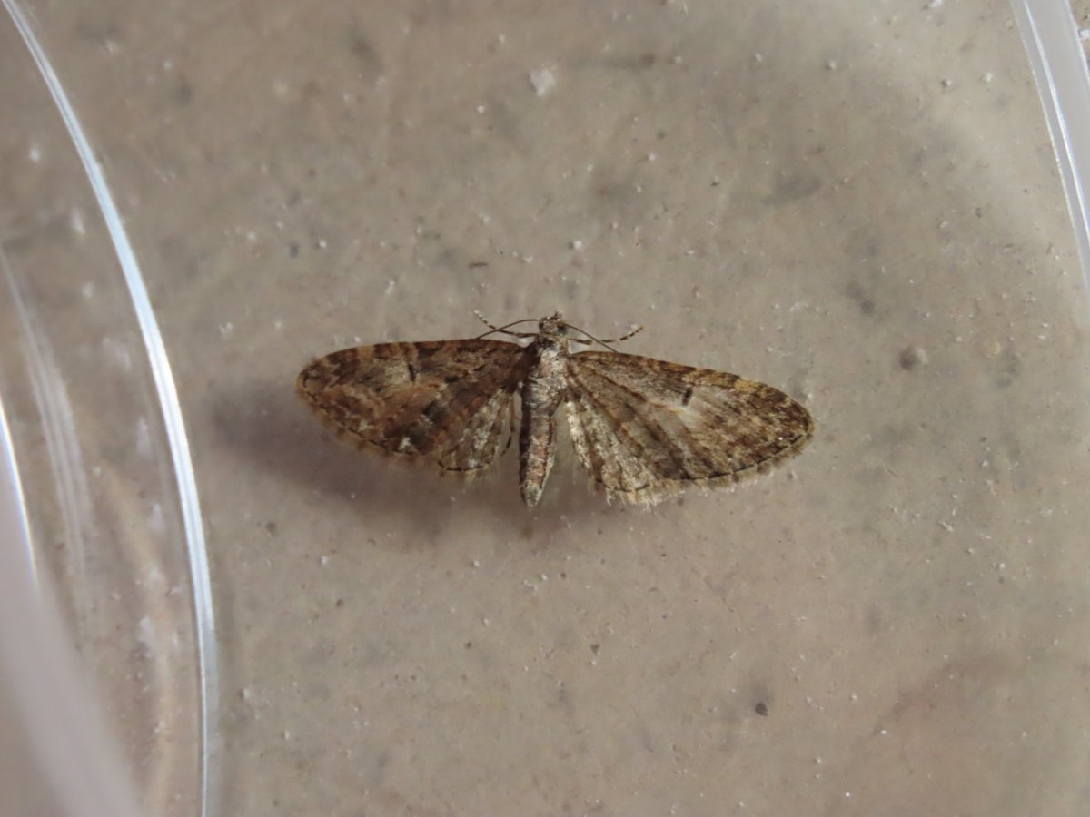 John Williams tweet media