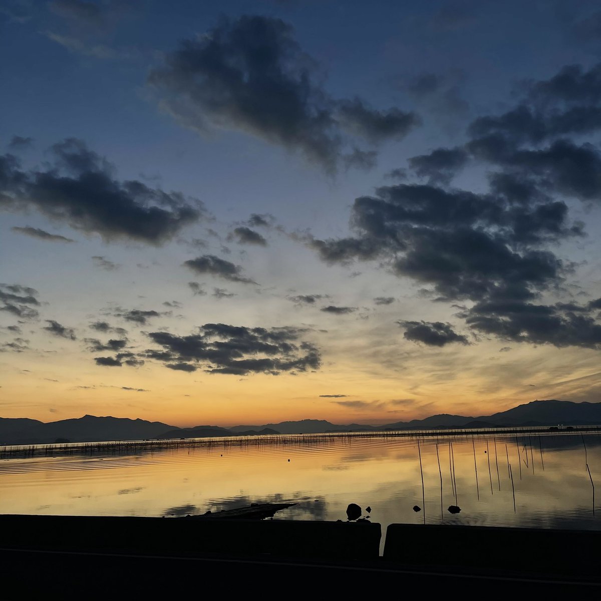 김천원 tweet media