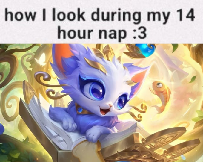 acervo yuumi tweet media