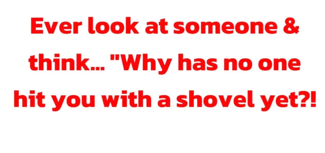 🦋 Amy 🦋 tweet media