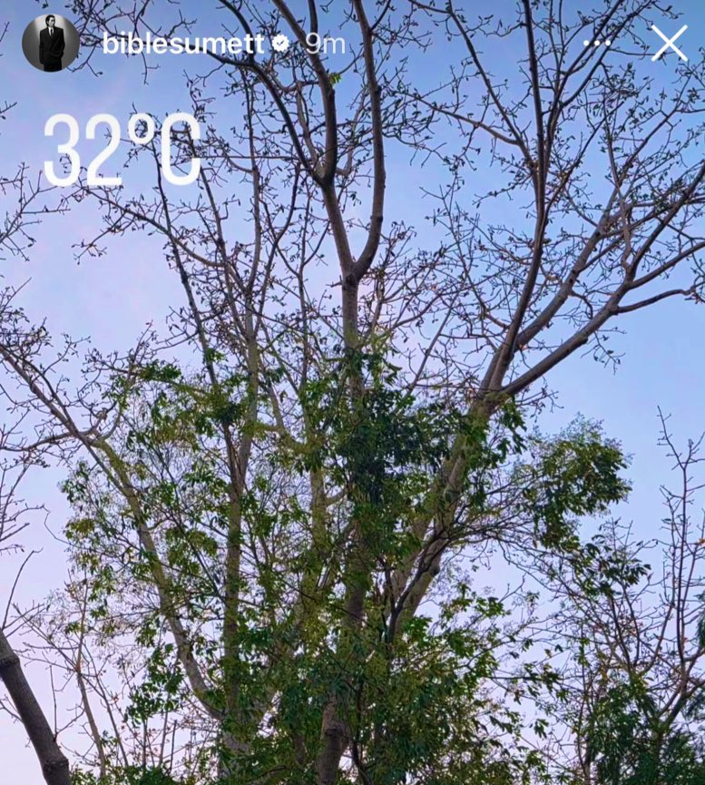 𝙒𝙘𝙝𝙥’𝙅𝙥𝙥 (สโม)🥁🐈⬛ tweet media