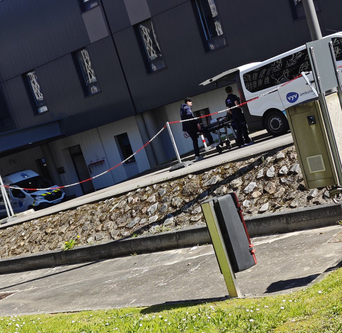 P'tit Caméléon | Aigrie era ꨄ︎ tweet media