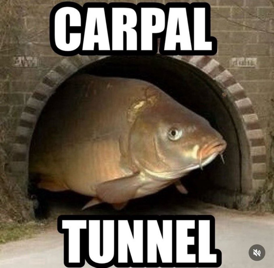 ᴀ-ʟᴇx 🔴 tweet media