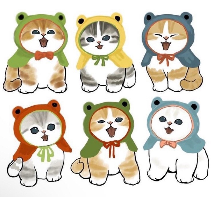 ぢゅの🐈 tweet media