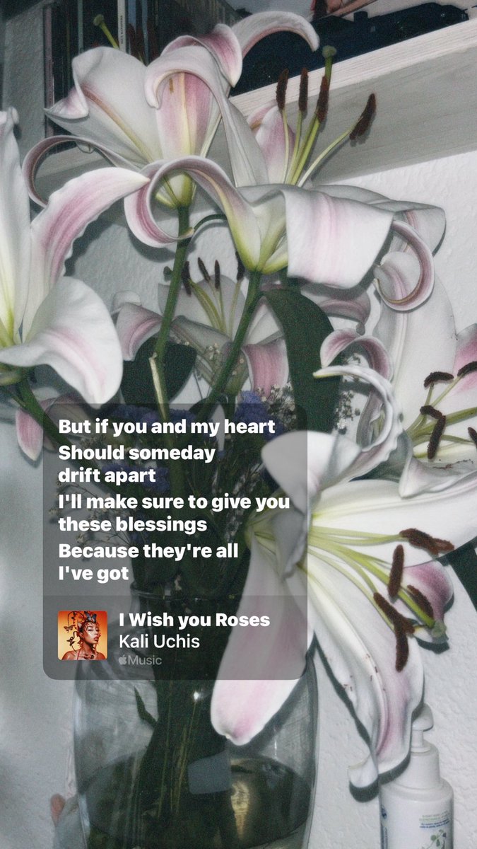 Yahelito tweet media