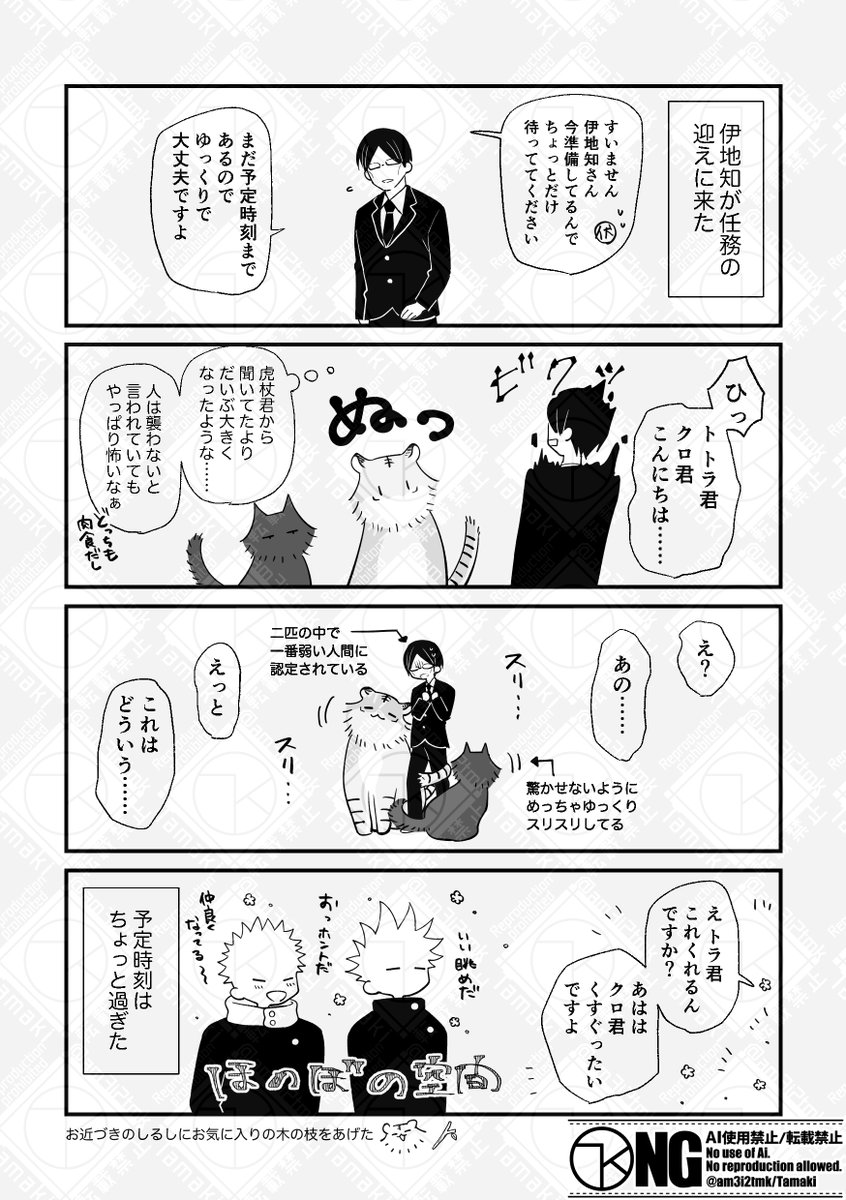 (11/11) 