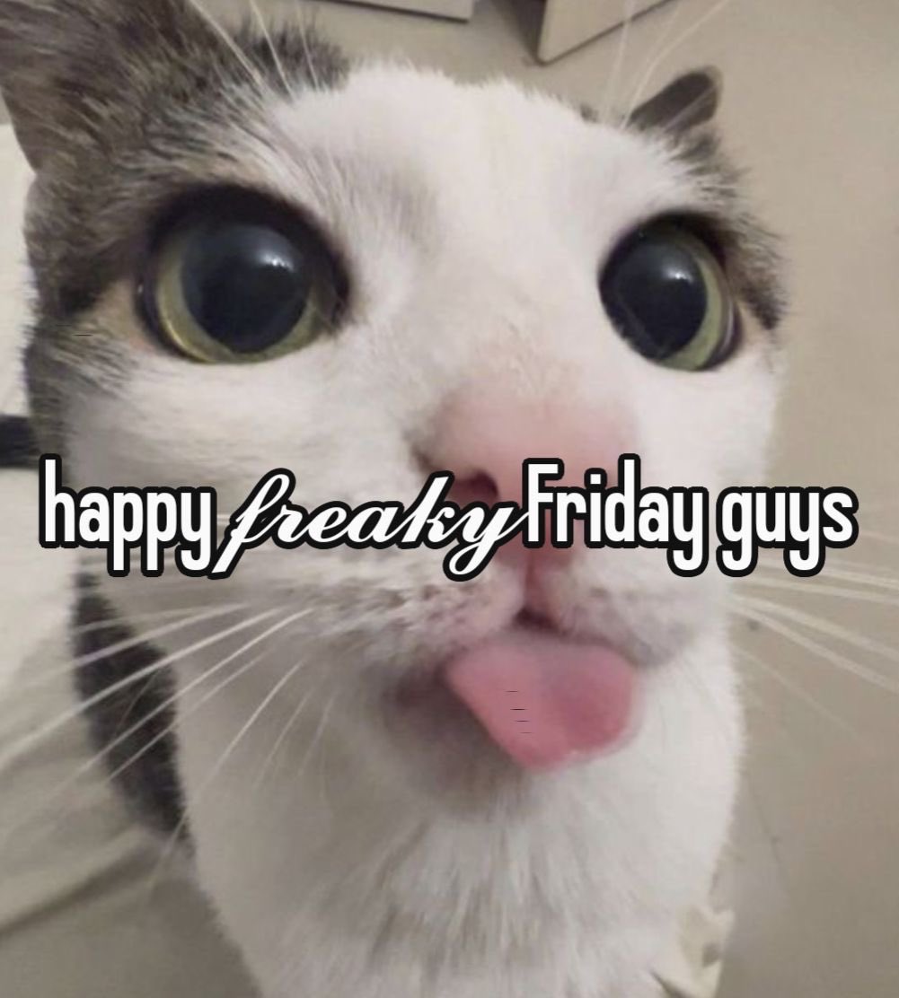 ivy 🌹 tweet media