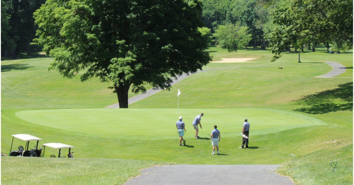 SpiritofSpringfield tweet media