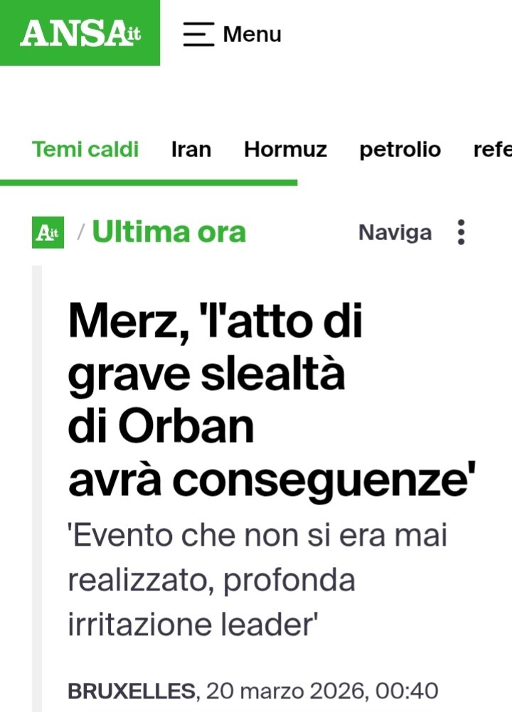 Sabrina F. tweet media