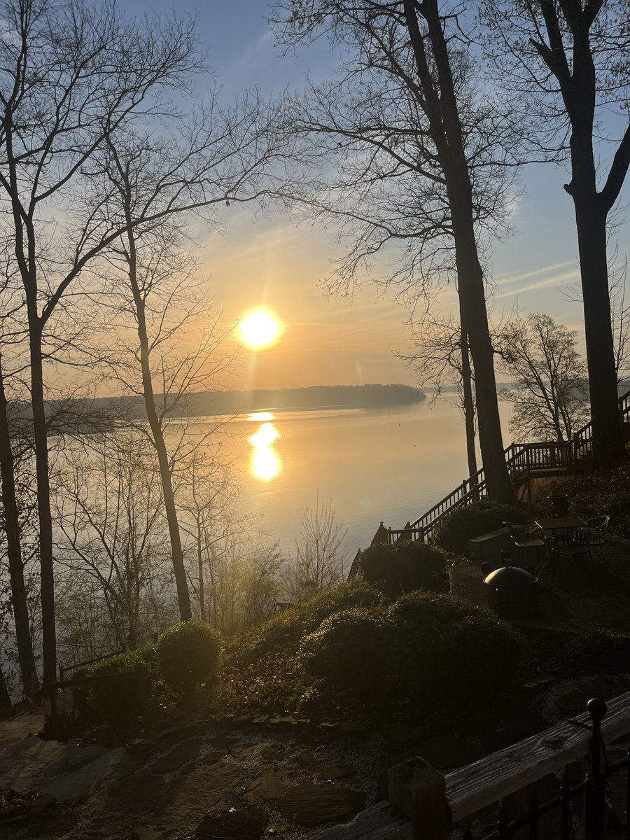 BamaGoose 🦢 tweet media