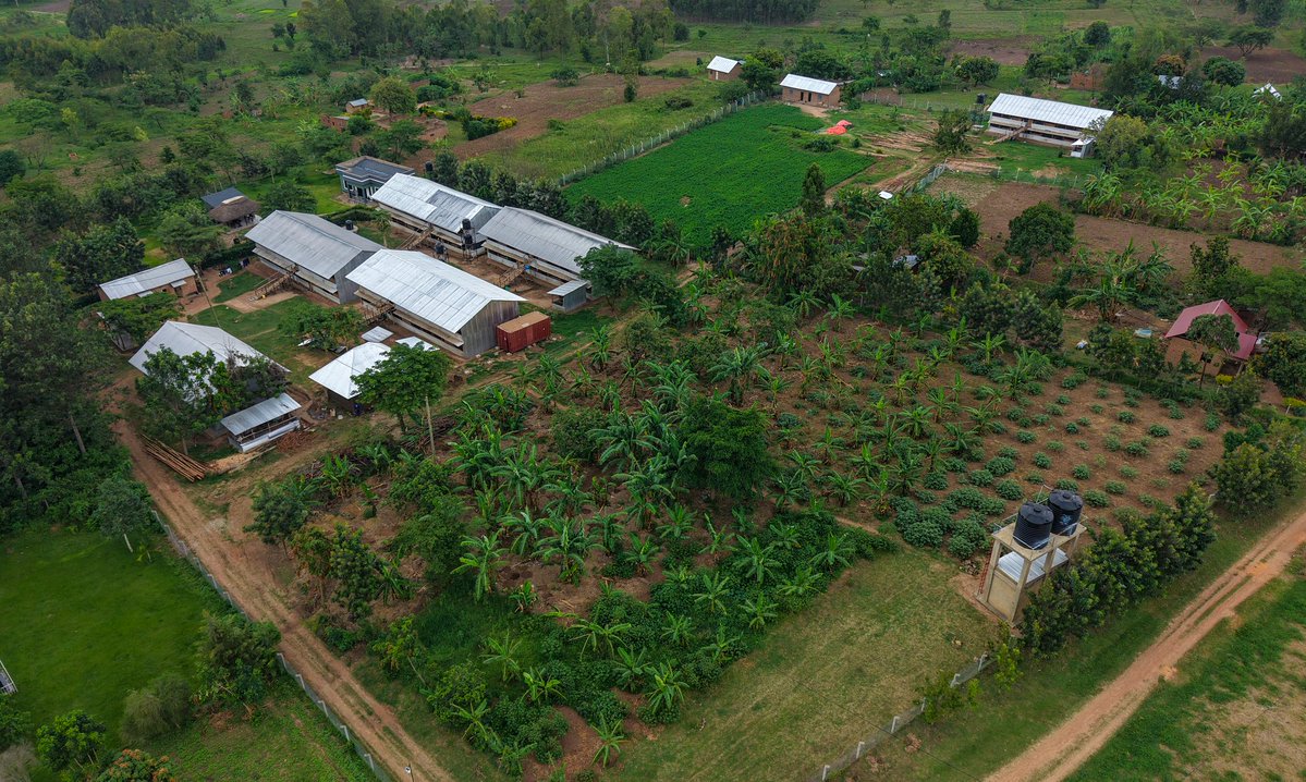 Dr. Daniel Masaba tweet media