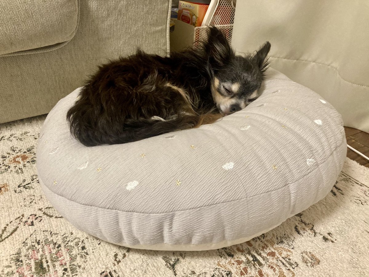 あおき tweet media