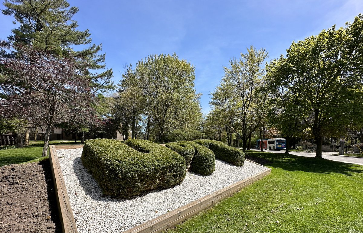 U of T Mississauga tweet media