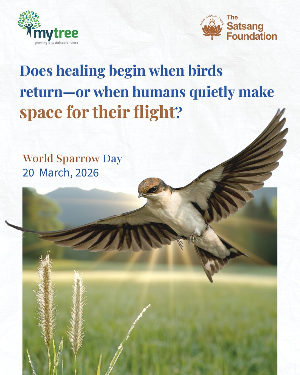 SatsangTweets's tweet photo. Tell us if you have created a Maitri space for our feathered friends here: https://t.co/oCXVSuY74C
Write at connect@satsang-foundation.org to work with us in healing our living environment.
#TheSatsangFoundation #MyTree #Maitri #WingedFriends #Environment #Sustainability https://t.co/3x8oZsFtsT