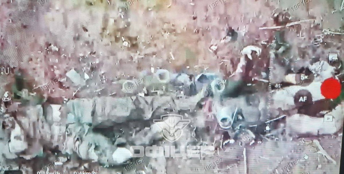 Aurora Borealis 🤫 tweet media