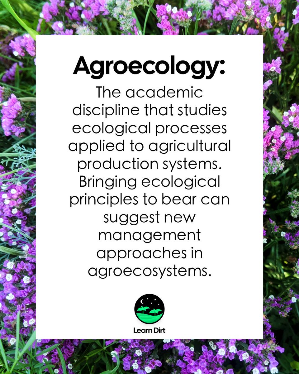 Learn Dirt 🌱 tweet media