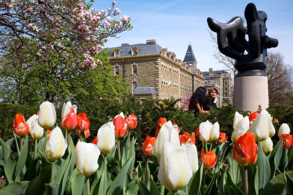 Cornell University tweet media