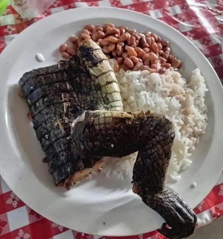 Scooby Doo 🍼 tweet media