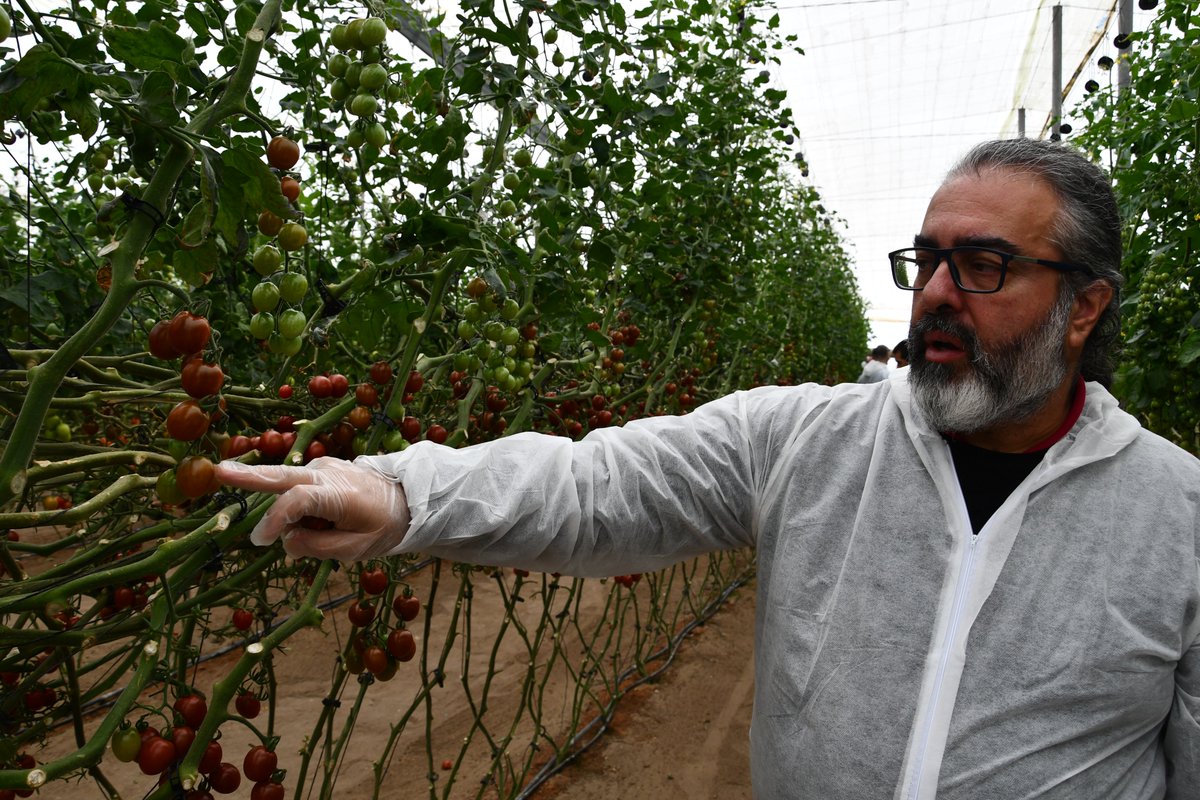 FHALMERÍA 🌱 tweet media