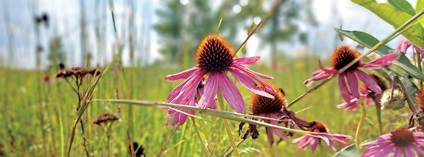 Pleasant Prairie tweet media