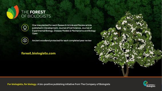 DMM Journal tweet media