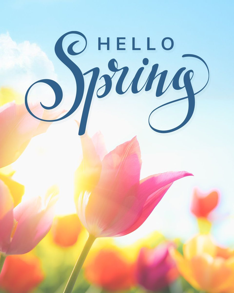 Via Credit Union tweet media