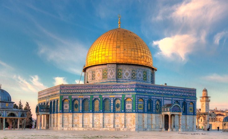 Trump Fact News 🇺🇸 tweet media