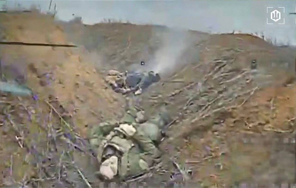 ℐℊℴℛ 🇺🇦🇩🇪 tweet media