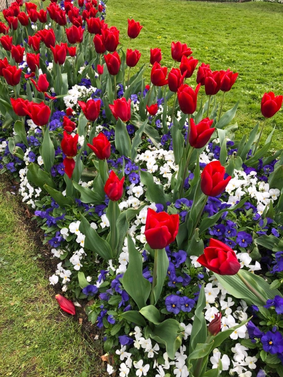 *✷ ɦσɱεlαηδεɾ. tweet media