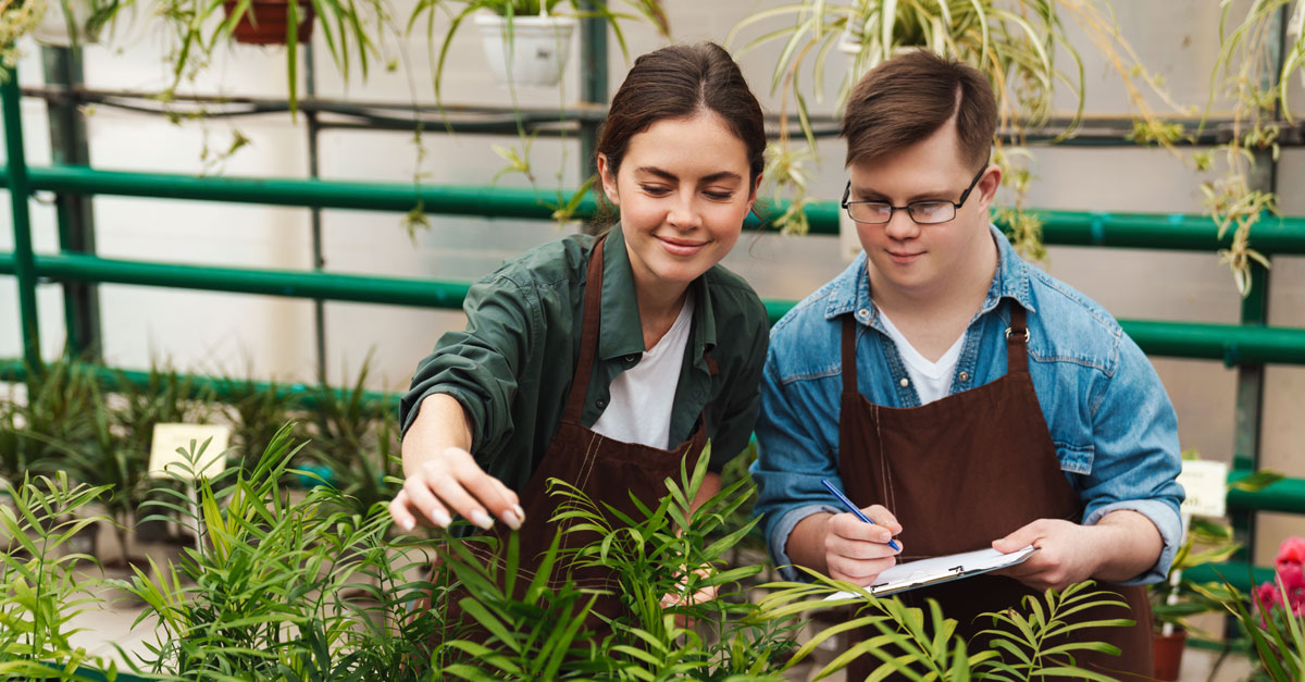 Barraquer tweet media