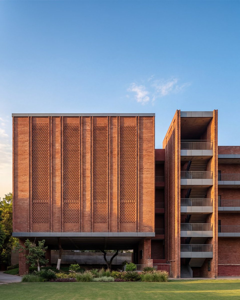 morphogenesis. tweet media