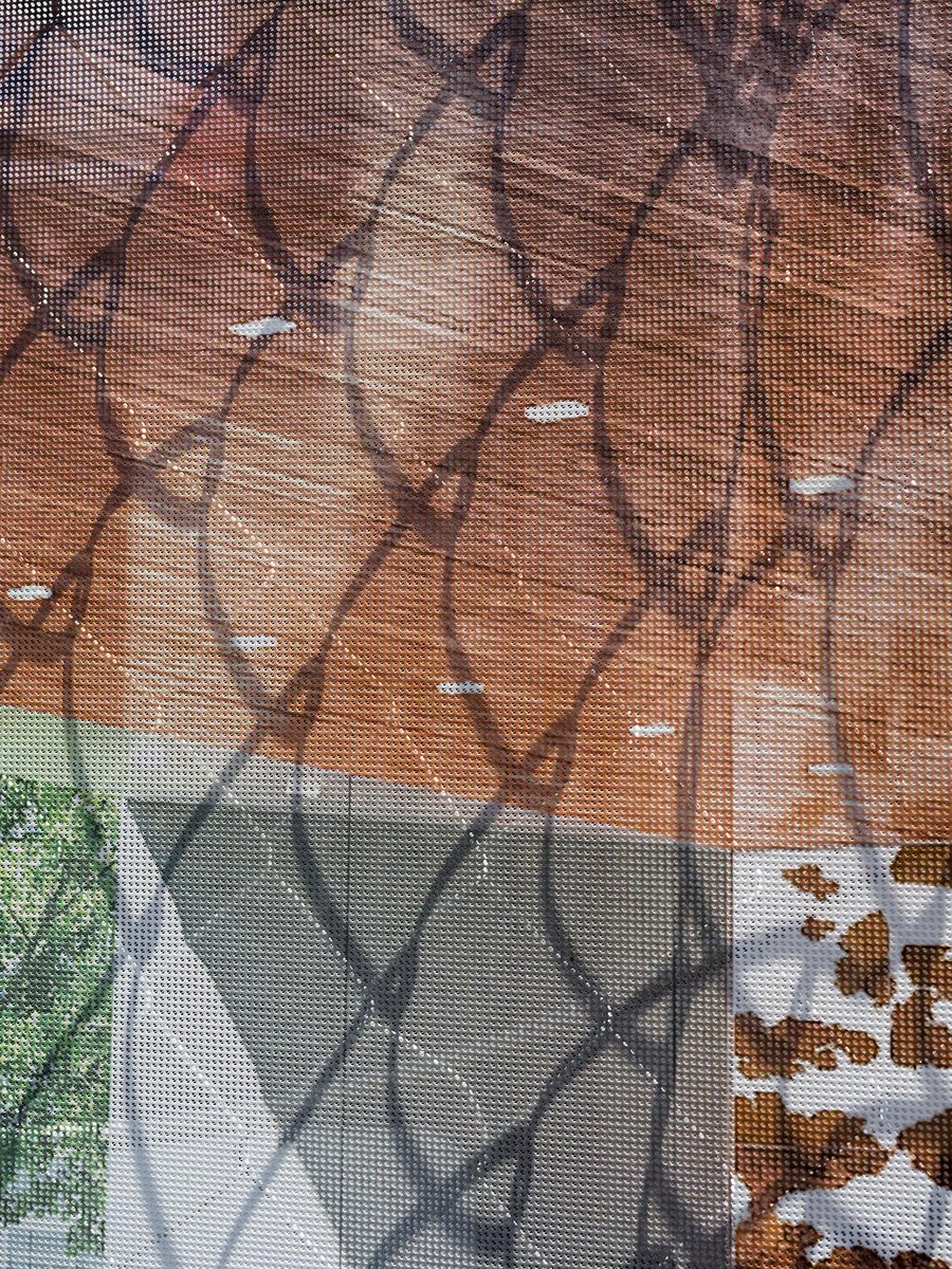 burt berman tweet media