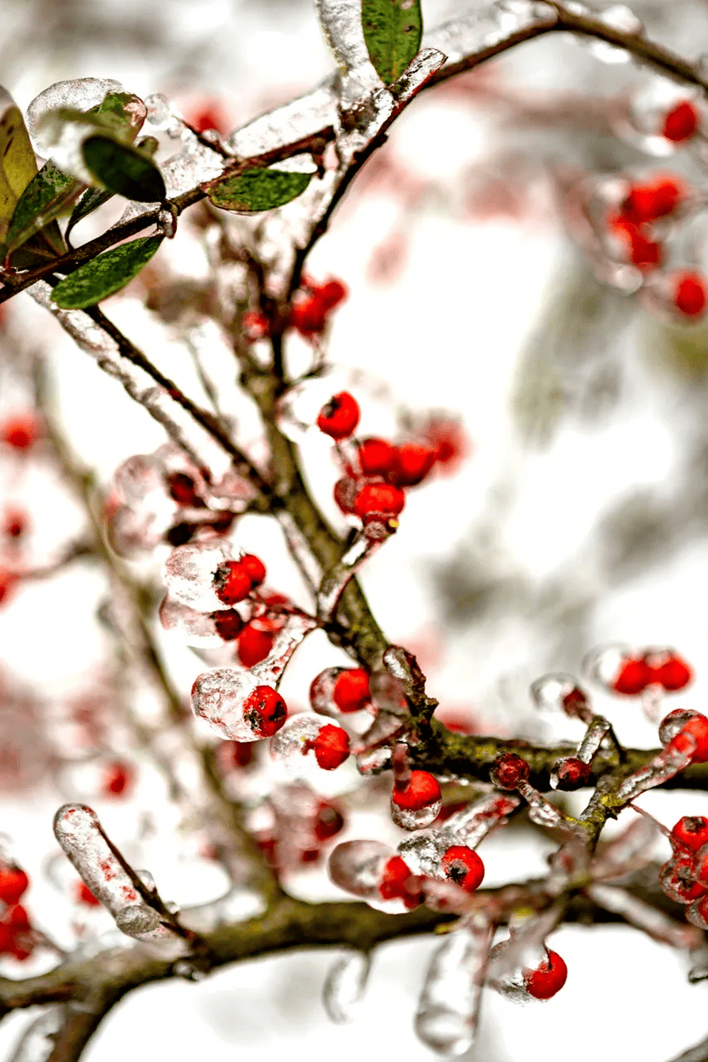 Mary Bushway tweet media