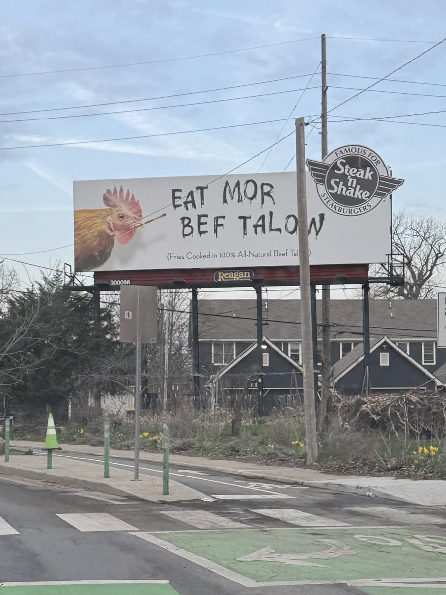 Kayla Dwyer tweet media