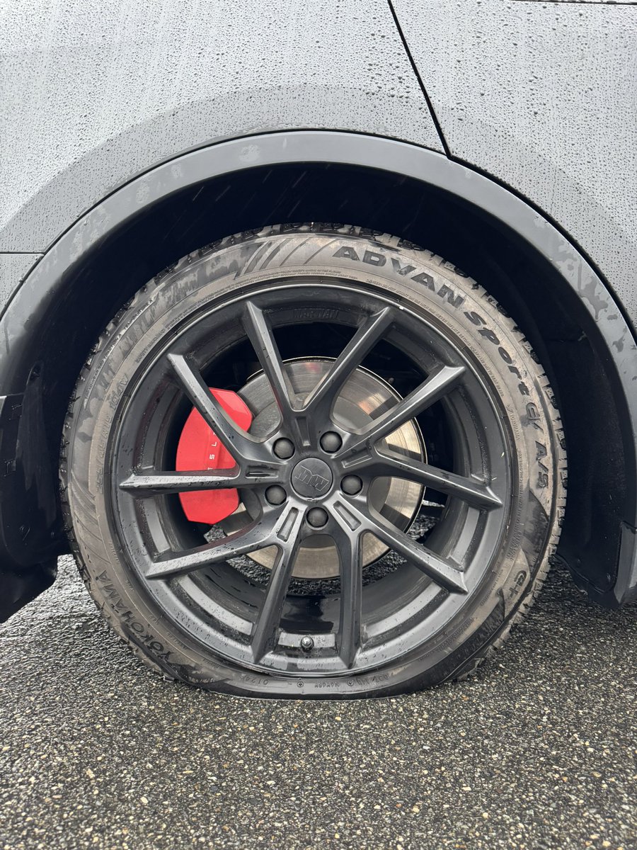 Dominic Carter ᯅ tweet media