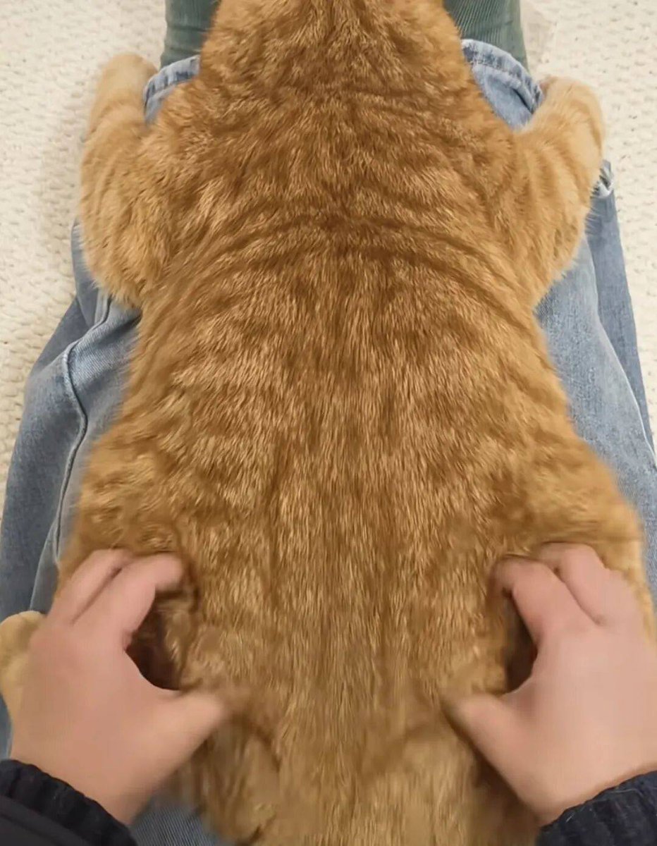 Cheri Deardorff tweet media