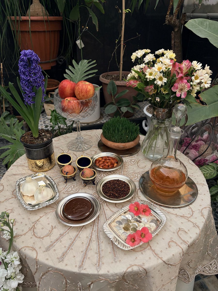 Captain 🥥 tweet media