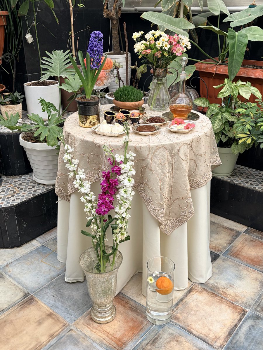 Captain 🥥 tweet media