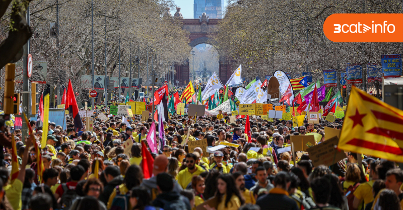 3CatInfo tweet media