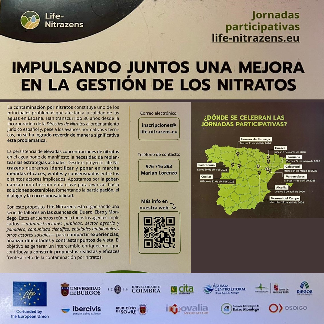 Grupo Polímeros tweet media