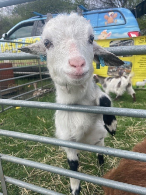 Three Lane Ends Academy tweet media